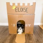 cardboard-cat-forts-19