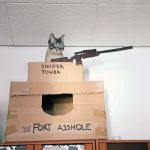 cardboard-cat-forts-2