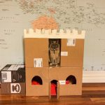 cardboard-cat-forts-22