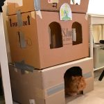 cardboard-cat-forts-7