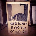 cardboard-cat-forts-9