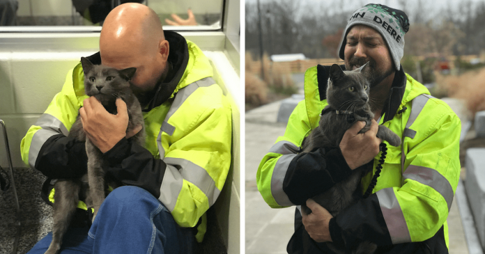 Featured-truck-driver-missing-cat-reunion-FB
