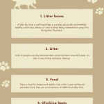 Creative-Illustrative-Infographic