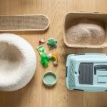 shopping-list-for-your-new-cat-552019-hero-630022c02209485396d4fd3977dd1e6b