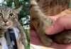 Cat-Volution: Meet Teddy, A Cat With Opposable Thumbs