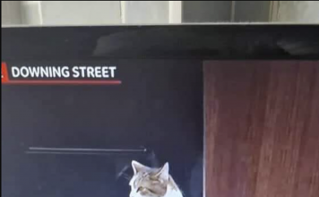 Hilarious Timing Of This News Tag Earns Laughs