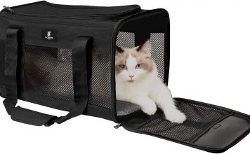 Your Cat’s Essential Travel Gears for any Trip