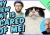 My New Cat is scared of me | Cat tips