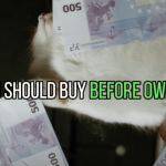 Screenshot 2025-01-25 180729